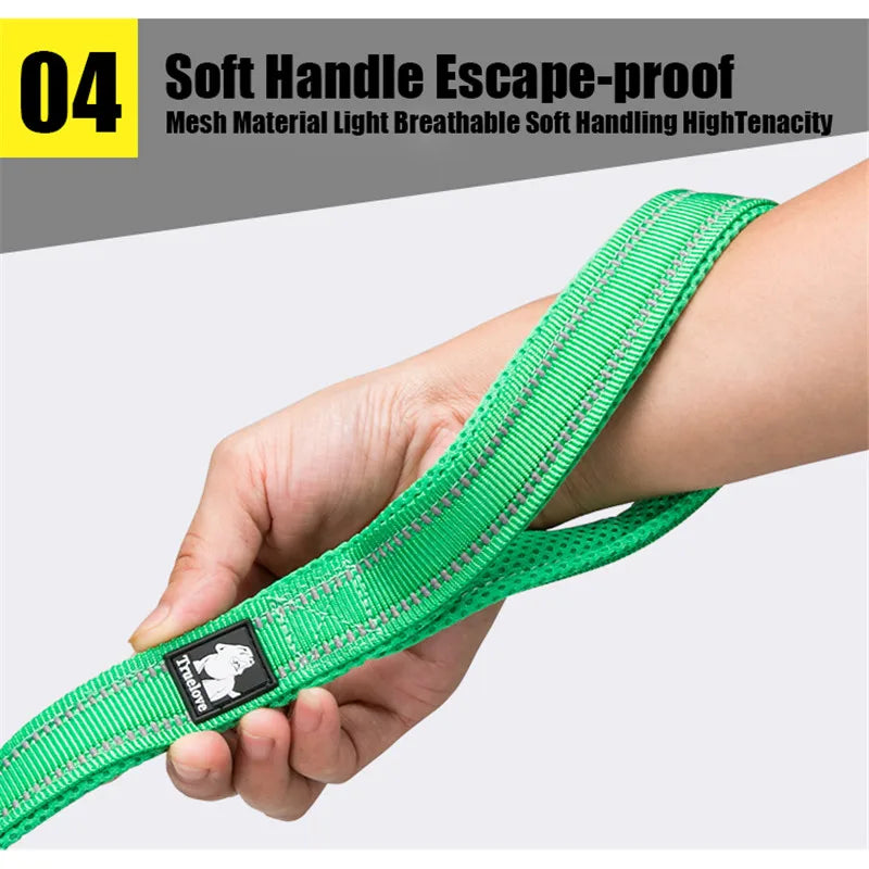 Truelove Reflective Padded Dog Leash