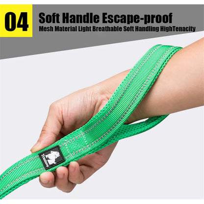 Truelove Reflective Padded Dog Leash