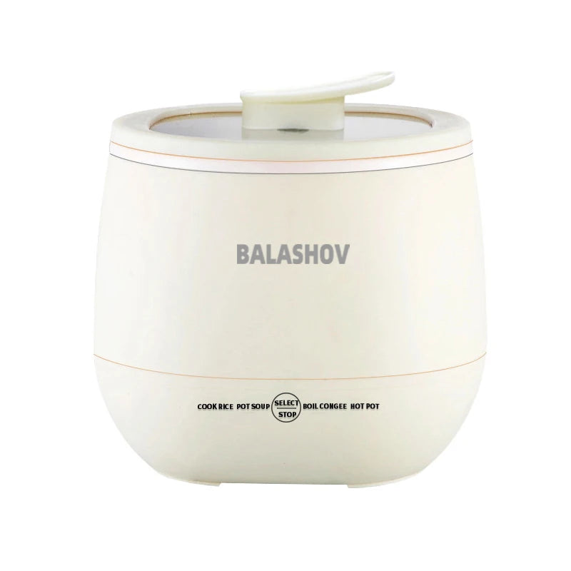 Portable Electric Multifunctional Cookware