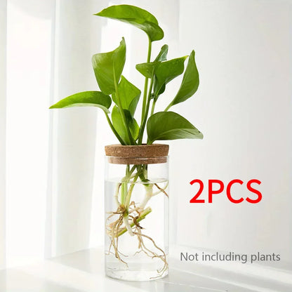 1pc, Hydroponics Plants Desktop Glass Planter Vase For Home Decoration, Plant Propagation Station Bud Vase, Desktop Hydroponics - Urbizia