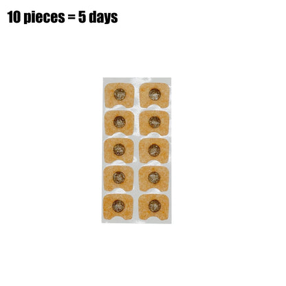 Nasal Breathing Dilator Starter Kit