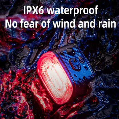 ROCKBROS Local Ship Bicycle Brake Light IPx6 Taillight Type-C Bike Tail Rear Light Auto LED Riding Warning Safe Cycling Light