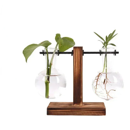 Hydroponic Plant Terrarium Vasevase Decoration Home Glass Bottle Hydroponic Desktop Decoration Office Green Plant Small Potted - Urbizia