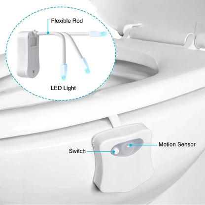 HOMEFISH Wireless Motion Sensor LED Night Light RGB 8 Colors Toilet Bathroom Atmosphere Colorful Lamp Sensor LED Night Lights - Urbizia