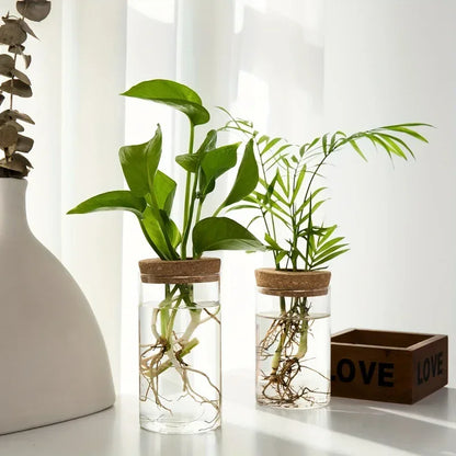 1pc, Hydroponics Plants Desktop Glass Planter Vase For Home Decoration, Plant Propagation Station Bud Vase, Desktop Hydroponics - Urbizia