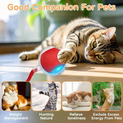 Dog Cat Interactive Ball Toy Automatic Rolling Ball Faux Tail Rechargeable Smart Pet Electric Toy Dog Cat Training Imitate Mouse - Urbizia