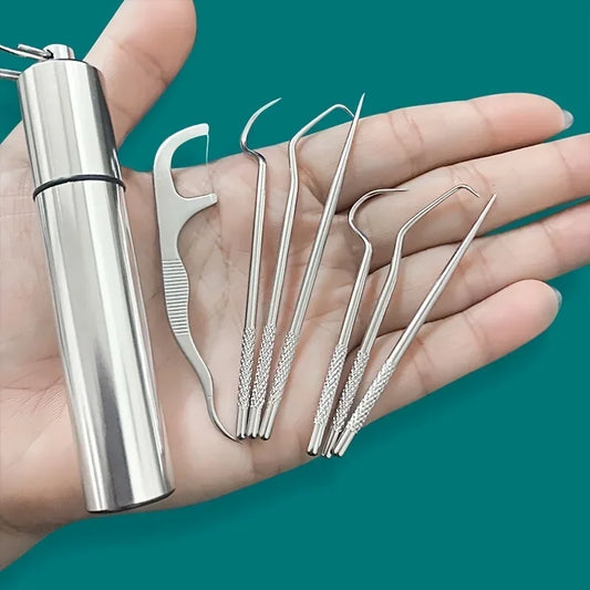 Reusable Stainless Steel Toothpick Set