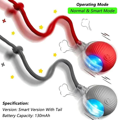 Dog Cat Interactive Ball Toy Automatic Rolling Ball Faux Tail Rechargeable Smart Pet Electric Toy Dog Cat Training Imitate Mouse - Urbizia