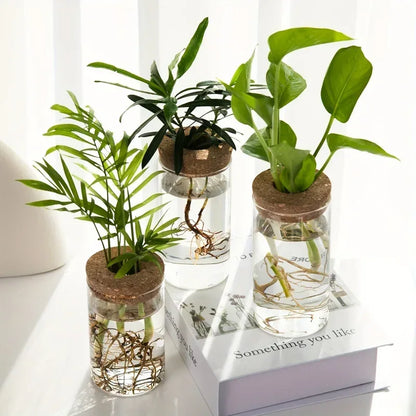 1pc, Hydroponics Plants Desktop Glass Planter Vase For Home Decoration, Plant Propagation Station Bud Vase, Desktop Hydroponics - Urbizia