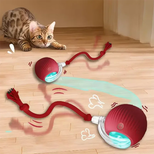 Intelligent interactive cat ball long-lasting and durable easy to clean intelligent obstacle avoidance pet dog toys - Urbizia