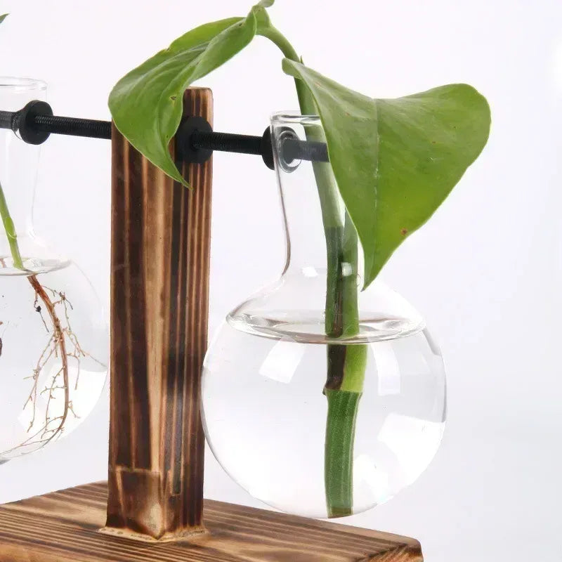 Hydroponic Plant Terrarium Vasevase Decoration Home Glass Bottle Hydroponic Desktop Decoration Office Green Plant Small Potted - Urbizia
