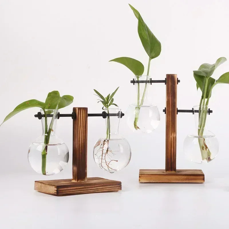Hydroponic Plant Terrarium Vasevase Decoration Home Glass Bottle Hydroponic Desktop Decoration Office Green Plant Small Potted - Urbizia