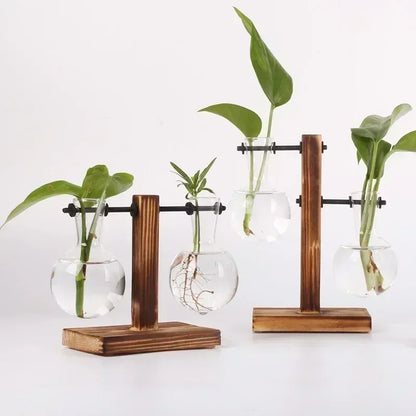 Hydroponic Plant Terrarium Vasevase Decoration Home Glass Bottle Hydroponic Desktop Decoration Office Green Plant Small Potted - Urbizia