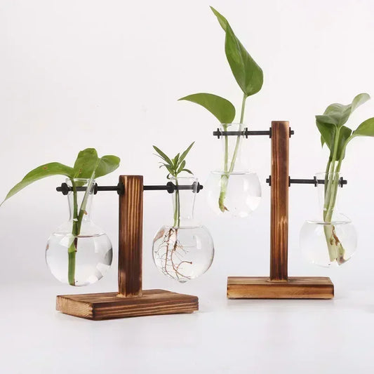 Hydroponic Plant Terrarium Vasevase Decoration Home Glass Bottle Hydroponic Desktop Decoration Office Green Plant Small Potted - Urbizia