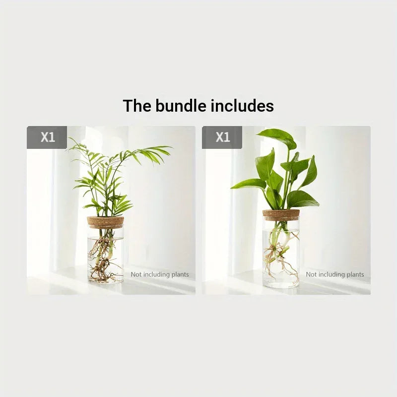 1pc, Hydroponics Plants Desktop Glass Planter Vase For Home Decoration, Plant Propagation Station Bud Vase, Desktop Hydroponics - Urbizia
