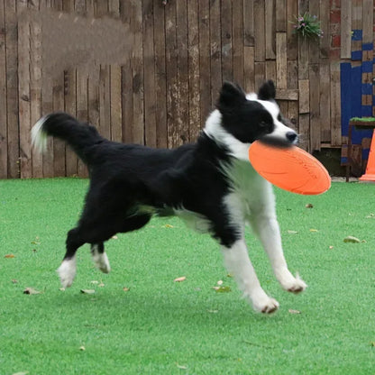 Silicone Flying Saucer Funny Dog Cat Toy Dog Game Flying Discs Resistant Chew Puppy Training Interactive Pet Supplies - Urbizia