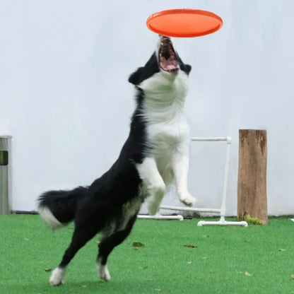 Silicone Flying Saucer Funny Dog Cat Toy Dog Game Flying Discs Resistant Chew Puppy Training Interactive Pet Supplies - Urbizia