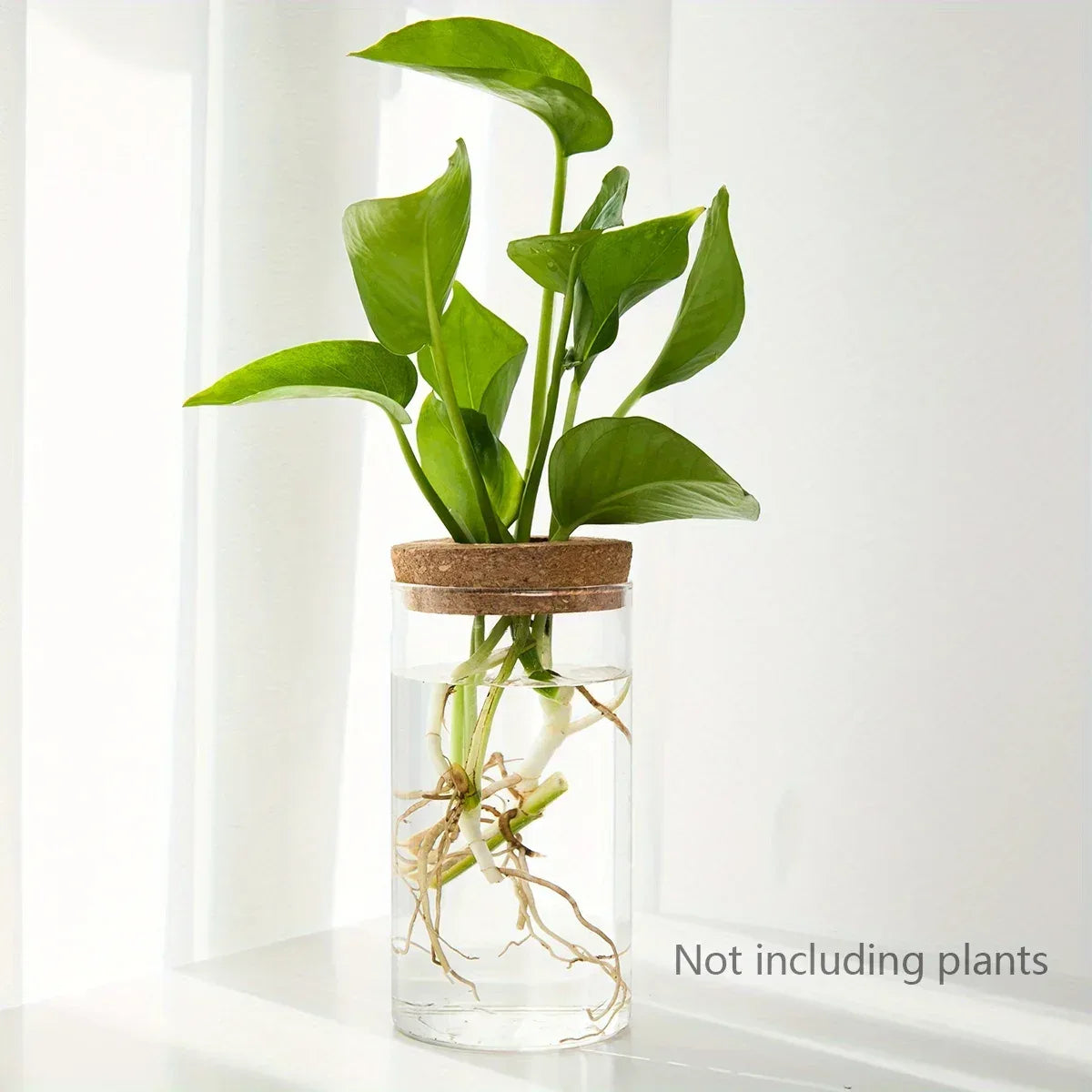 1pc, Hydroponics Plants Desktop Glass Planter Vase For Home Decoration, Plant Propagation Station Bud Vase, Desktop Hydroponics - Urbizia
