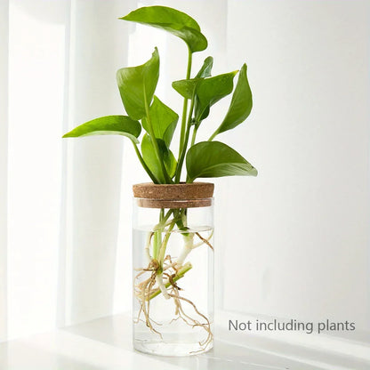 1pc, Hydroponics Plants Desktop Glass Planter Vase For Home Decoration, Plant Propagation Station Bud Vase, Desktop Hydroponics - Urbizia