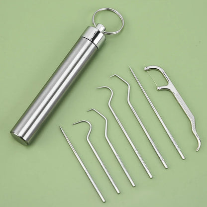 Reusable Stainless Steel Toothpick Set