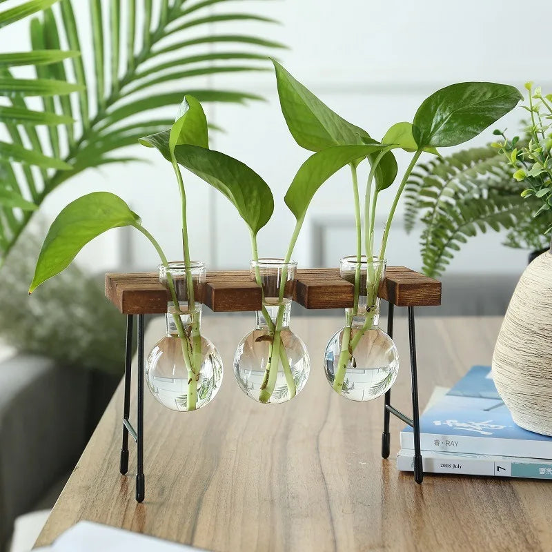 Wooden Frame Hydroponic Planter with Glass Bulb - Indoor Bonsai Plant Vase for Home Tabletop Office Desk Modern Decor