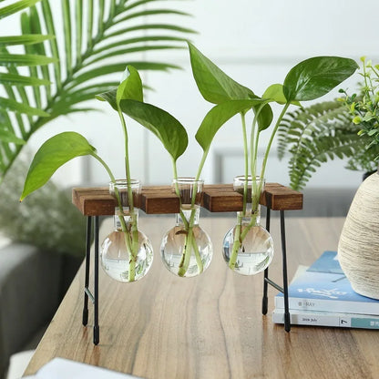 Wooden Frame Hydroponic Planter with Glass Bulb - Indoor Bonsai Plant Vase for Home Tabletop Office Desk Modern Decor