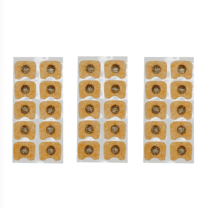 Nasal Breathing Dilator Starter Kit