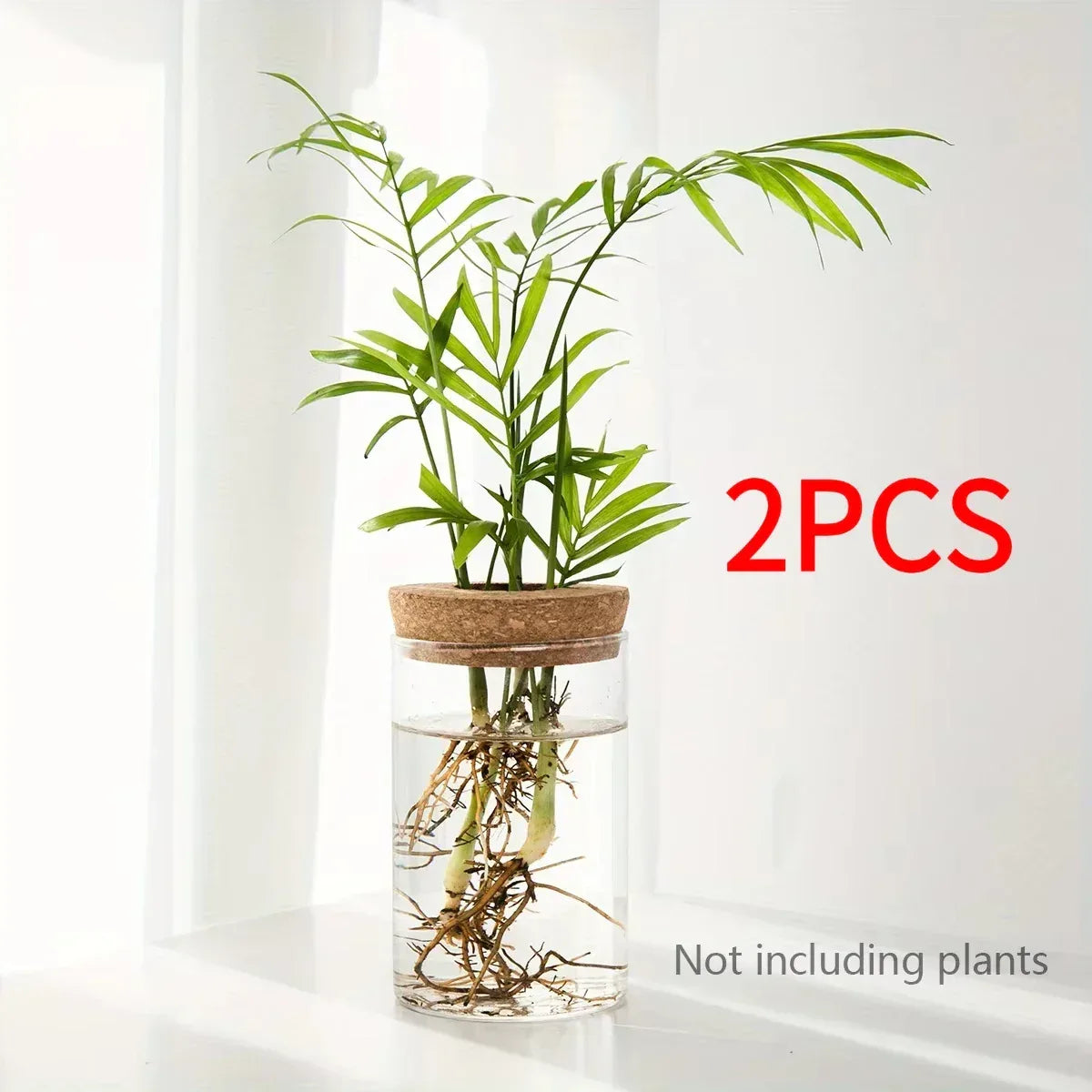 1pc, Hydroponics Plants Desktop Glass Planter Vase For Home Decoration, Plant Propagation Station Bud Vase, Desktop Hydroponics - Urbizia