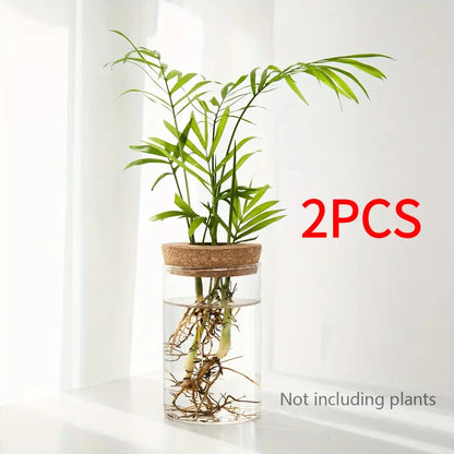 1pc, Hydroponics Plants Desktop Glass Planter Vase For Home Decoration, Plant Propagation Station Bud Vase, Desktop Hydroponics - Urbizia