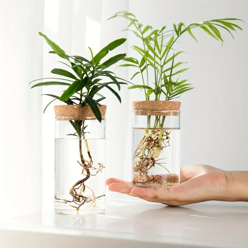 1pc, Hydroponics Plants Desktop Glass Planter Vase For Home Decoration, Plant Propagation Station Bud Vase, Desktop Hydroponics - Urbizia