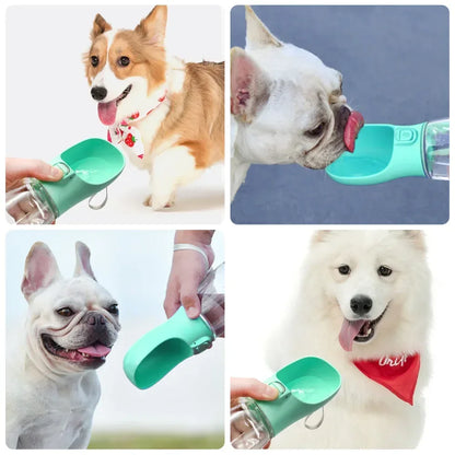 Portable Dog Water Bottle For Small Large Dogs Cat Outdoor Leakproof Walking Drinking Bowls Chihuahua French Bulldog Supplies - Urbizia