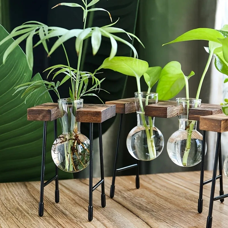 Wooden Frame Hydroponic Planter with Glass Bulb - Indoor Bonsai Plant Vase for Home Tabletop Office Desk Modern Decor