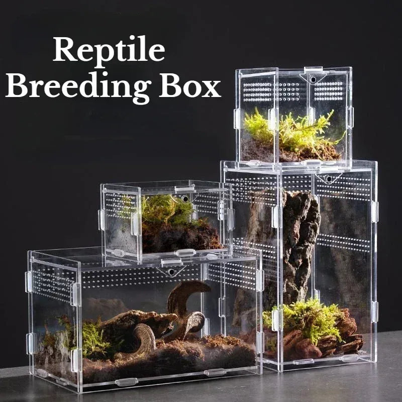 Reptile Habitat Terrarium Breeding Box Acrylic Case Nano Arboreal Tarantula Enclosure Spider Scorpion Bearded Dragon Habitat - Urbizia