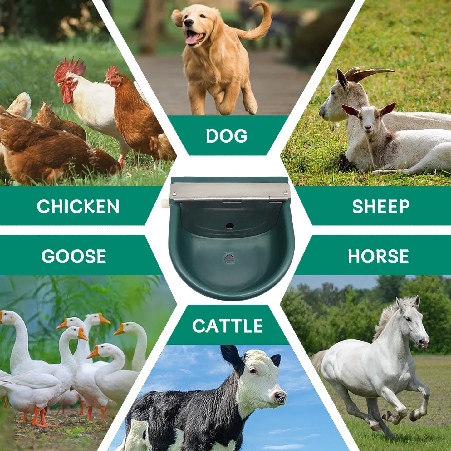 Automatic Water Drinking Bowl Farm Animals Water Feeder Cow Drinking Tool for Sheep Goats Feeding Water Bowl Livestock Supplies - Urbizia