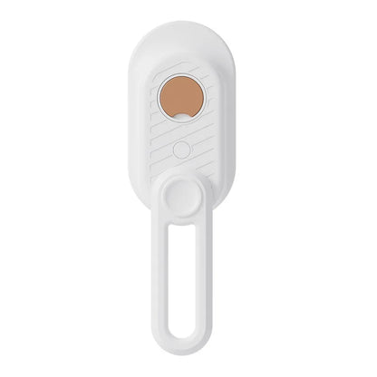 Pet Electric Steam Brush For Grooming