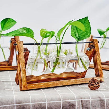 1pc, Tabletop Glass Planter Propagation Station Hydroponic Plant Vases In Wooden Rack Terrarium For Plants, Clear Flower Pot For