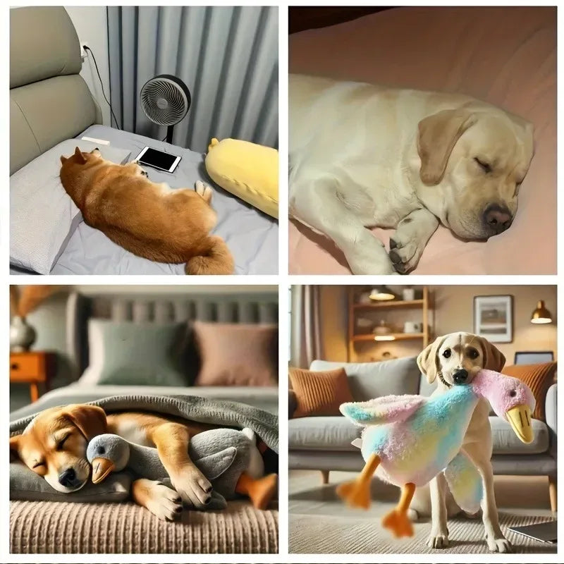 50cm Soft Colorful Duck Plush Toy for Cats Dogs Relax Pet Companion Anxiety-Relieving Dog Buddy Energy Release Gift for Pets - Urbizia