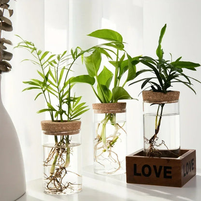 1pc, Hydroponics Plants Desktop Glass Planter Vase For Home Decoration, Plant Propagation Station Bud Vase, Desktop Hydroponics - Urbizia