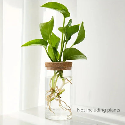 1pc, Hydroponics Plants Desktop Glass Planter Vase For Home Decoration, Plant Propagation Station Bud Vase, Desktop Hydroponics - Urbizia