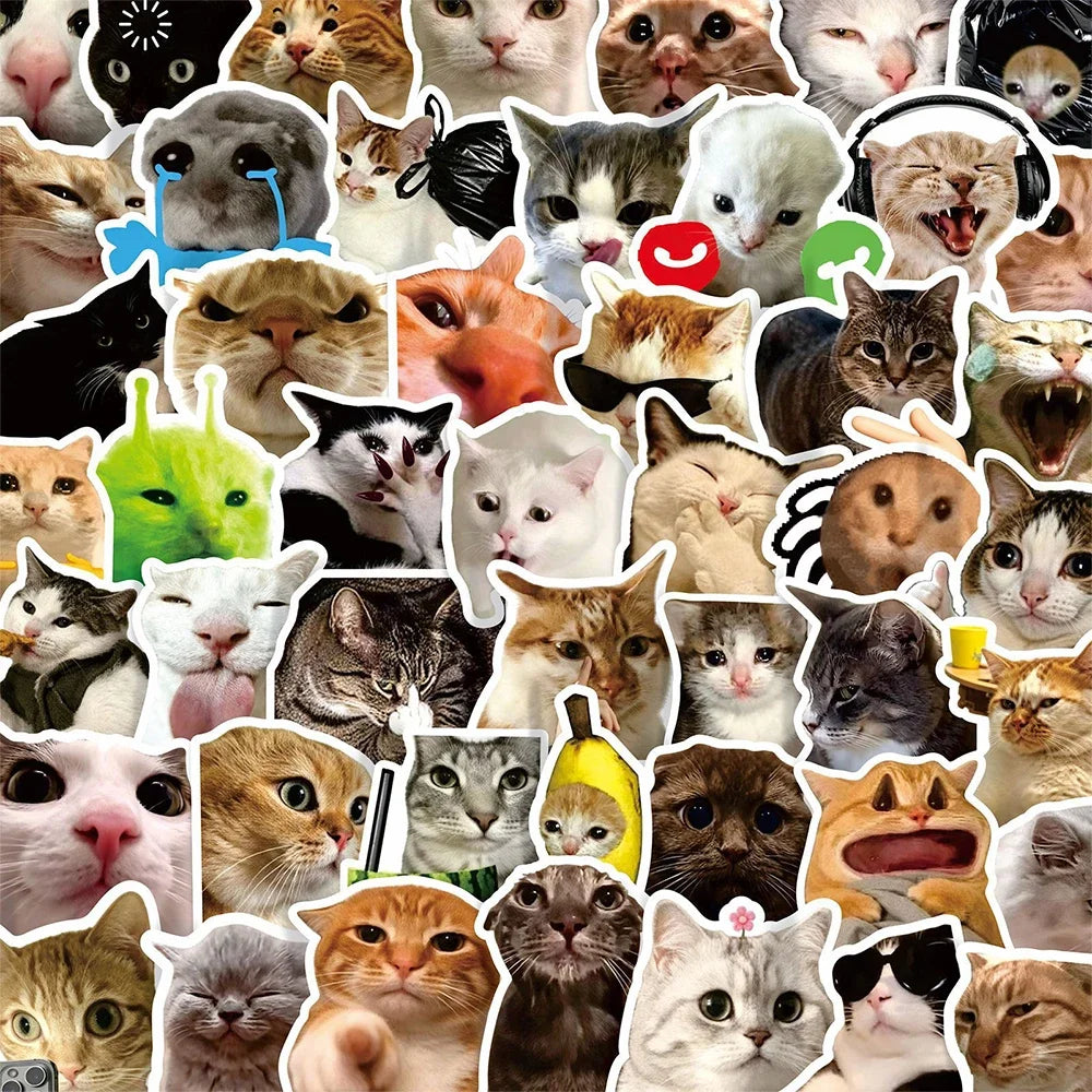 10/50/100pcs Funny Cat Meme Cartoon Stickers Waterproof DIY Laptops Water Bottles Phones Cute Animal Decals Toys Gifts