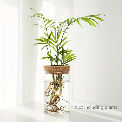 1pc, Hydroponics Plants Desktop Glass Planter Vase For Home Decoration, Plant Propagation Station Bud Vase, Desktop Hydroponics - Urbizia