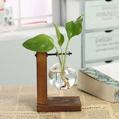 Hydroponic Plant Terrarium Vasevase Decoration Home Glass Bottle Hydroponic Desktop Decoration Office Green Plant Small Potted - Urbizia