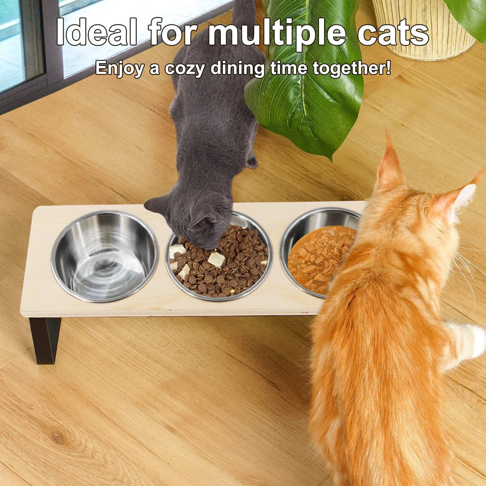 Elevated Cat Bowls Feeder 15° Tilted Raised Feeding & Watering Supplies Pet 3 Stainless Steel Bowls with Stand for Cats Puppies - Urbizia