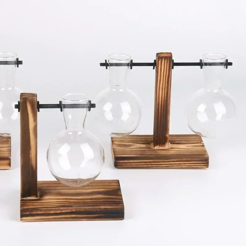 Hydroponic Plant Terrarium Vasevase Decoration Home Glass Bottle Hydroponic Desktop Decoration Office Green Plant Small Potted - Urbizia