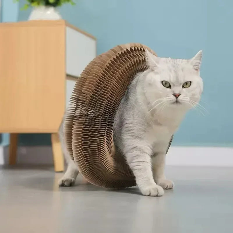 Magic Cat Scratch Organ Board Cat Toy with Ball Cat Grinding Claw Cat Climbing Frame Kitten Round Corrugated Cat Scratching Toy - Urbizia