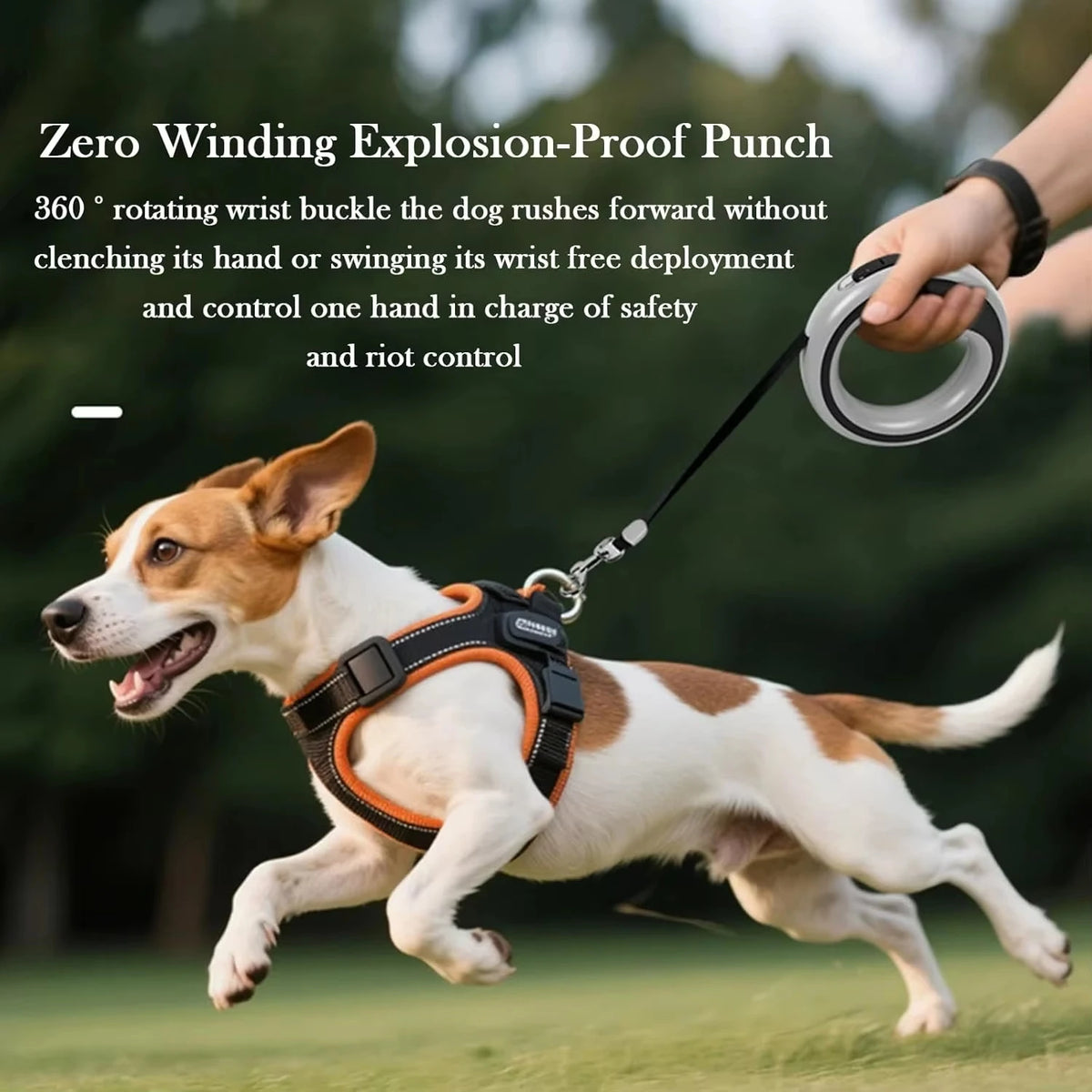 Heavy-Duty Retractable Nylon Tape Dog Leash