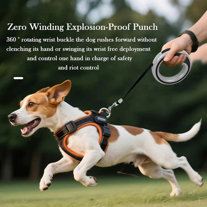 Heavy-Duty Retractable Nylon Tape Dog Leash
