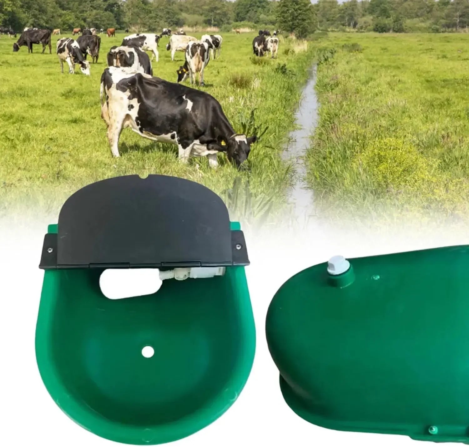Automatic Water Drinking Bowl Farm Animals Water Feeder Cow Drinking Tool for Sheep Goats Feeding Water Bowl Livestock Supplies - Urbizia