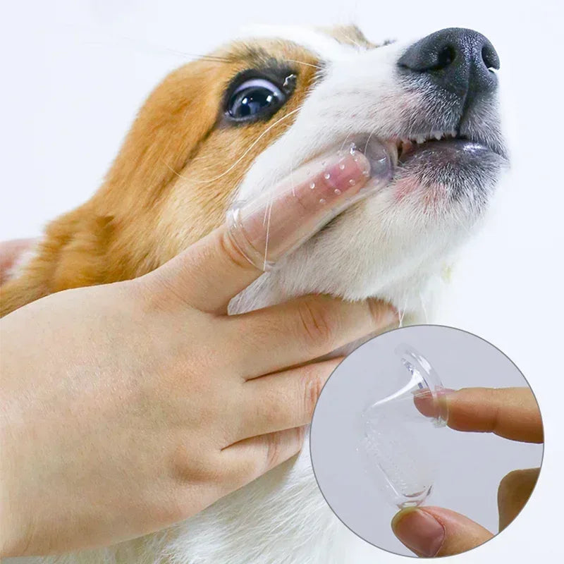 Super Soft Pet Finger Toothbrush Teddy Dog Brush Bad Breath Tartar Teeth Care Tool Dog Cat Cleaning Silicagel Pet Supplies - Urbizia