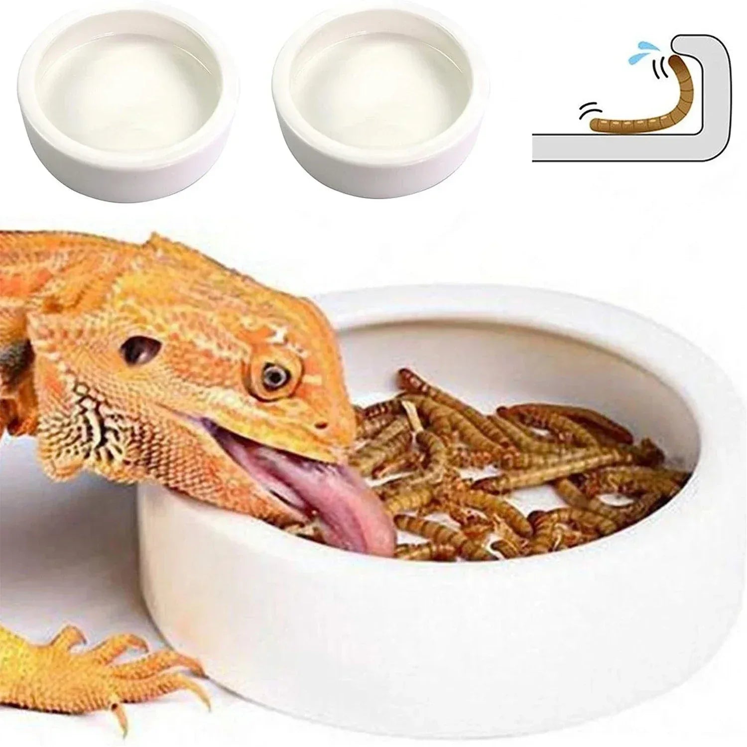 Reptile Food Bowl Feeding and Watering Bowl Anti-Escape Ceramic Feeding and Watering Bowl Anti-Escape Super Worm Feeder - Urbizia